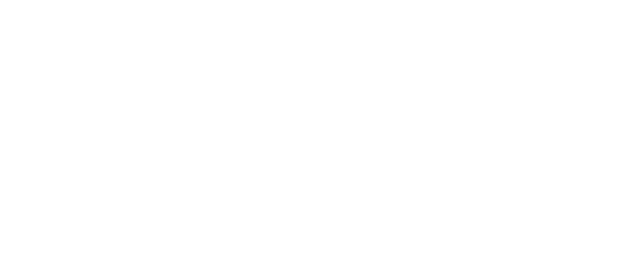 BrainStudio